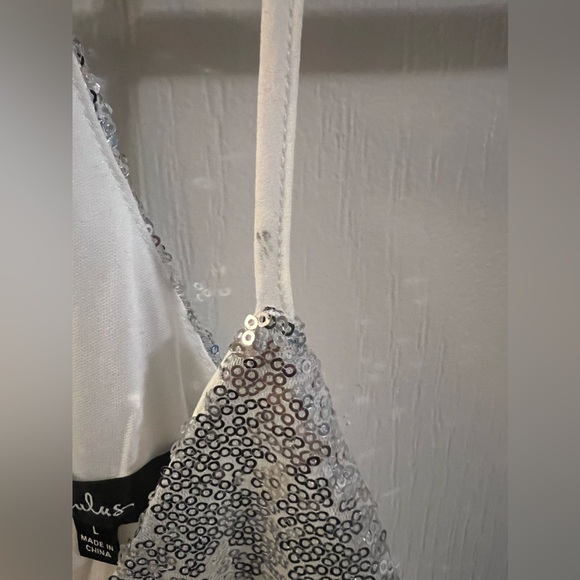 Silver sparkly dress - Lulu’s - Size Large - Picture 3 of 4